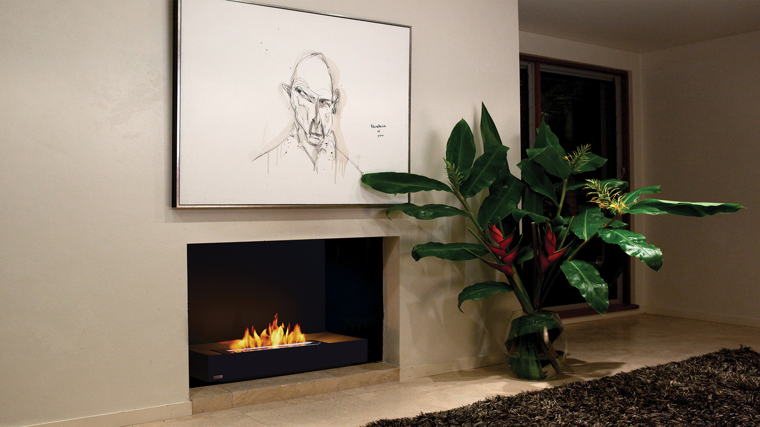 EcoSmart Fireplace Inserts