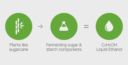 Plants like sugarcane - Fermenting sugar & starch components